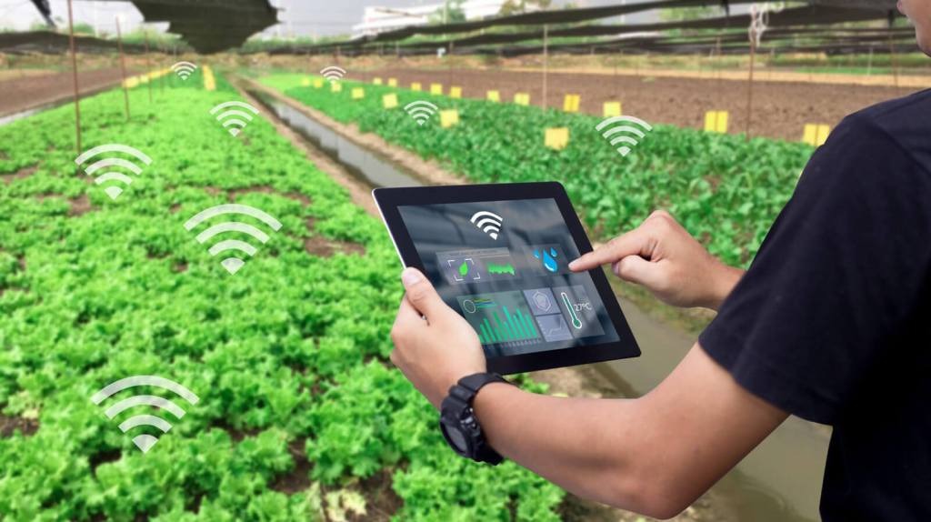 cảm biến iot